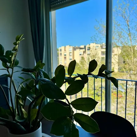 Le Marin Apartment